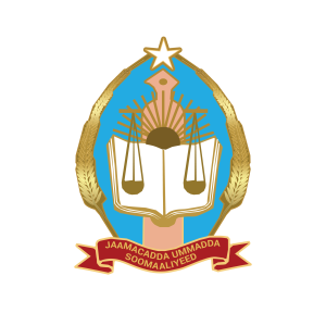 LMS Somali National University